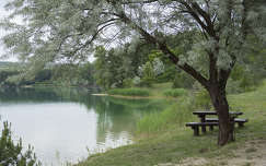Fenyves tó
