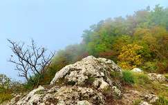 A Nagy-Kevély csúcsa az őszi ködben, Pilis