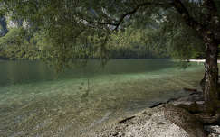 Bohinji tó, Szlovénia