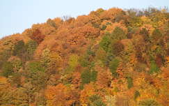 Kazincbarcika ősz