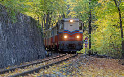 ősz sínpár címlapfotó vonat