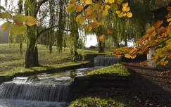 ősz írország patak címlapfotó