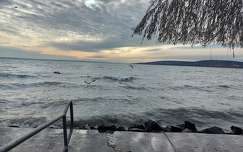 balaton címlapfotó sirály vizimadár tó magyarország