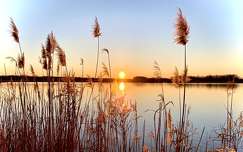 napfelkelte címlapfotó nád tükröződés tó