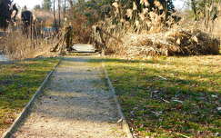 Februári séta a Kámoni Arborétumban - Szombathely
