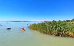 balaton nád tó magyarország nyár