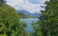 szlovénia hegy alpok bledi-tó tó nyár