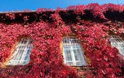 ház ősz címlapfotó ablak