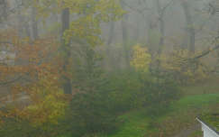 Ködös novemberi reggel