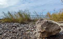 balaton kövek és sziklák nád tó magyarország