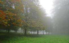 ősz címlapfotó köd