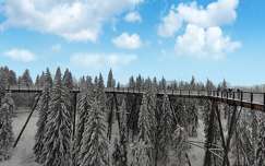 szlovákia fenyő kárpátok út tél