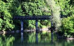 folyó híd erdő