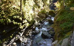 kövek és sziklák patak erdő