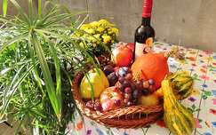 tök ital bor címlapfotó dekoráció ősz körte szőlő alma gyümölcs