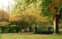 Balatonfűzfő, ősz, Dr.kert, híd