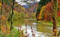 ősz folyó címlapfotó erdő