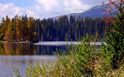 ősz címlapfotó erdő tó