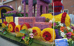 Flowershow Haarlem Nederland