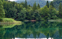 plitvicei tavak világörökség horvátország tükröződés erdő tó