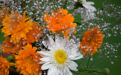 névnap és születésnap körömvirág margaréta nyári virág virágcsokor és dekoráció