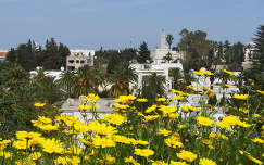 Tunézia, Karthago