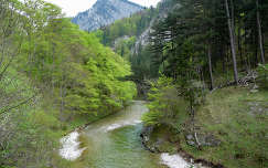 A Schwarza folyó völgye, Ausztria