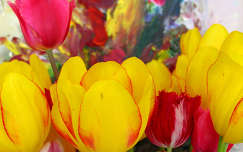 Tulipán festmény