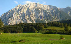 Osztrák Alpok, Grimming