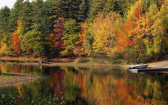 címlapfotó csónak ősz tükröződés erdő tó
