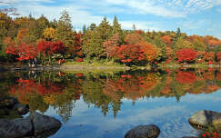 címlapfotó ősz kertek és parkok tükröződés tó