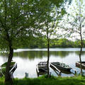 Tüskei-tó