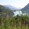 Lungerni tó, Svájc