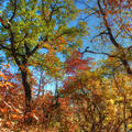 Az ősz gyönyörű színei a Dédesi-várnál
