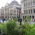 Brüsszel,Grand Place,Belgium