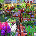 Amsterdam, Singel-Flowermarket
