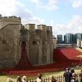 Tower of London, Poppies, London