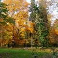 Szarvasi Arborétum - 2014. ősz