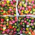 Hollandia, Amszterdam, úszó virágpiac, tulipáncsokrok 2016. április