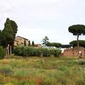 Olaszorzág , Róma - Palatinus