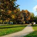 ősz, Balatonalmádi, Szent István Park, magyarország