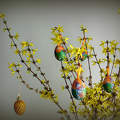 tojásfa, húsvét, magyarország
