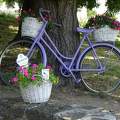 Tihany, virágos bicikli.