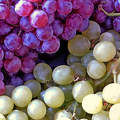 szőlő, gyümölcs, ősz, magyarország