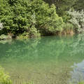 Fenyves tó