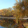 Békás tó - Debrecen