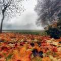 Gőzös- ködös ősz
