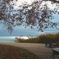 Balatonalmádi, tó, ősz. Erzsébet park