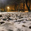 Hajnali havazás a Doktorkertben, Balatonfűzfő