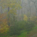 Ködös novemberi reggel